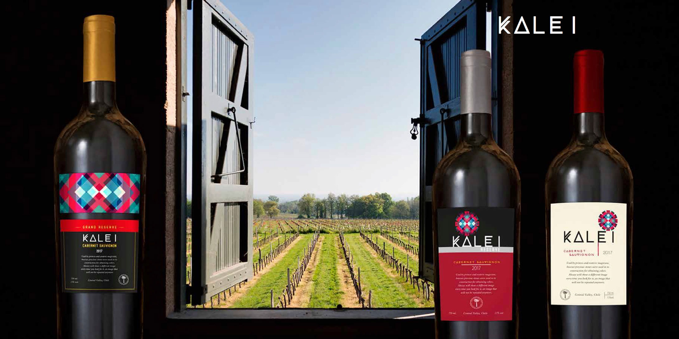 BROCHURE---Nelson-Ubilla---PEWEN-WINE-EXPORT-AGENT-2018-(1)-11