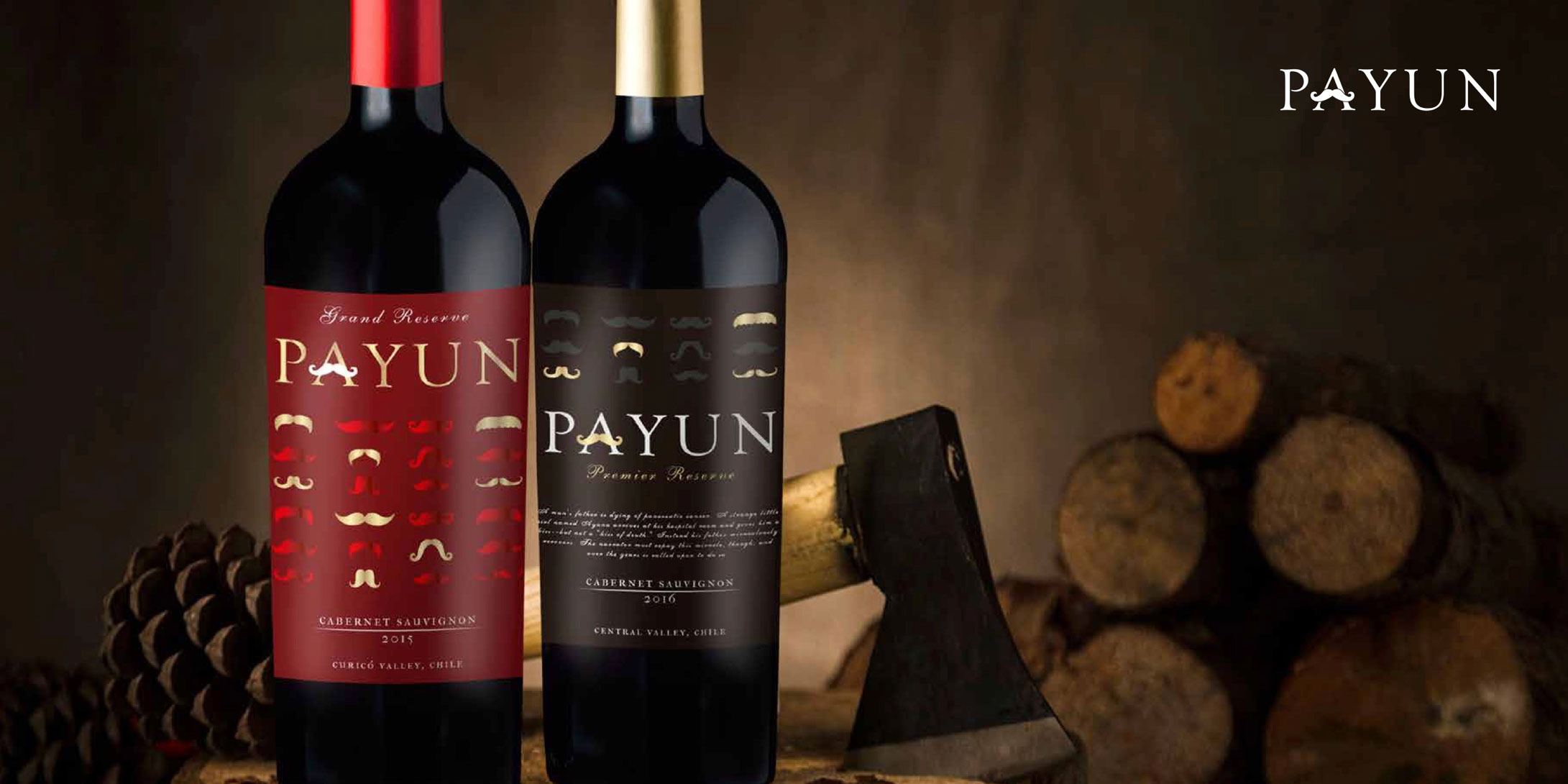 BROCHURE---Nelson-Ubilla---PEWEN-WINE-EXPORT-AGENT-2018-(1)-12
