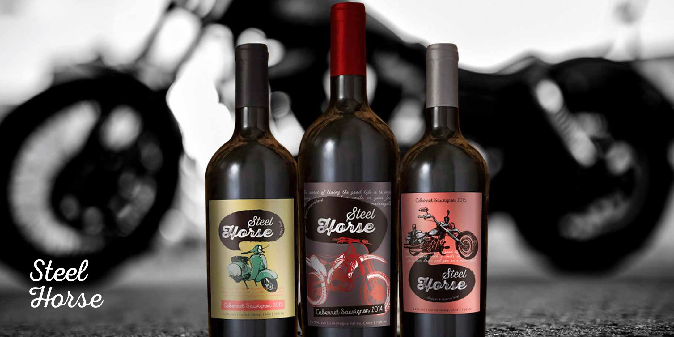 BROCHURE---Nelson-Ubilla---PEWEN-WINE-EXPORT-AGENT-2018-(1)-13