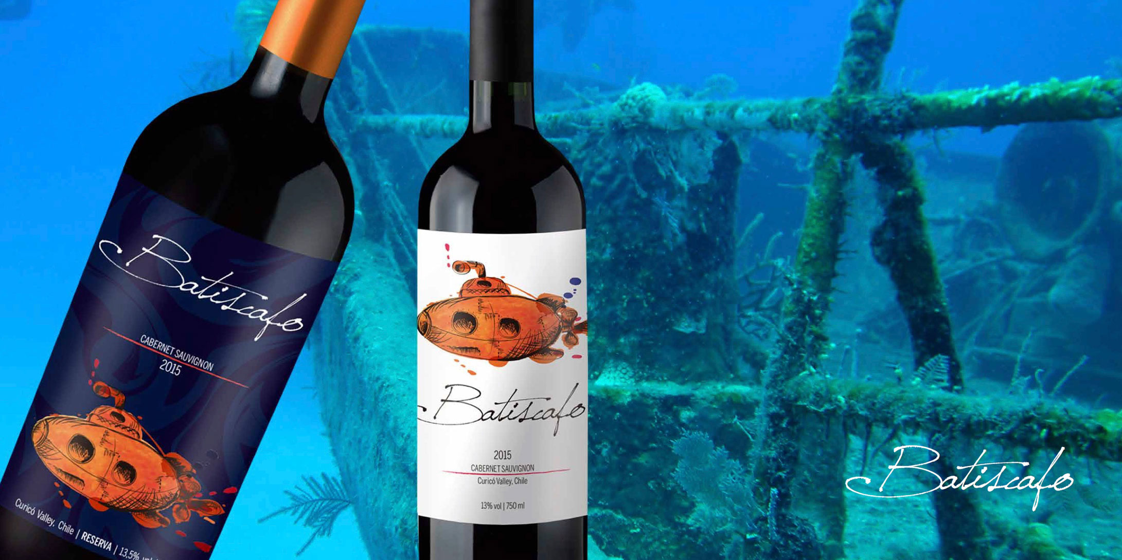 BROCHURE---Nelson-Ubilla---PEWEN-WINE-EXPORT-AGENT-2018-(1)-16