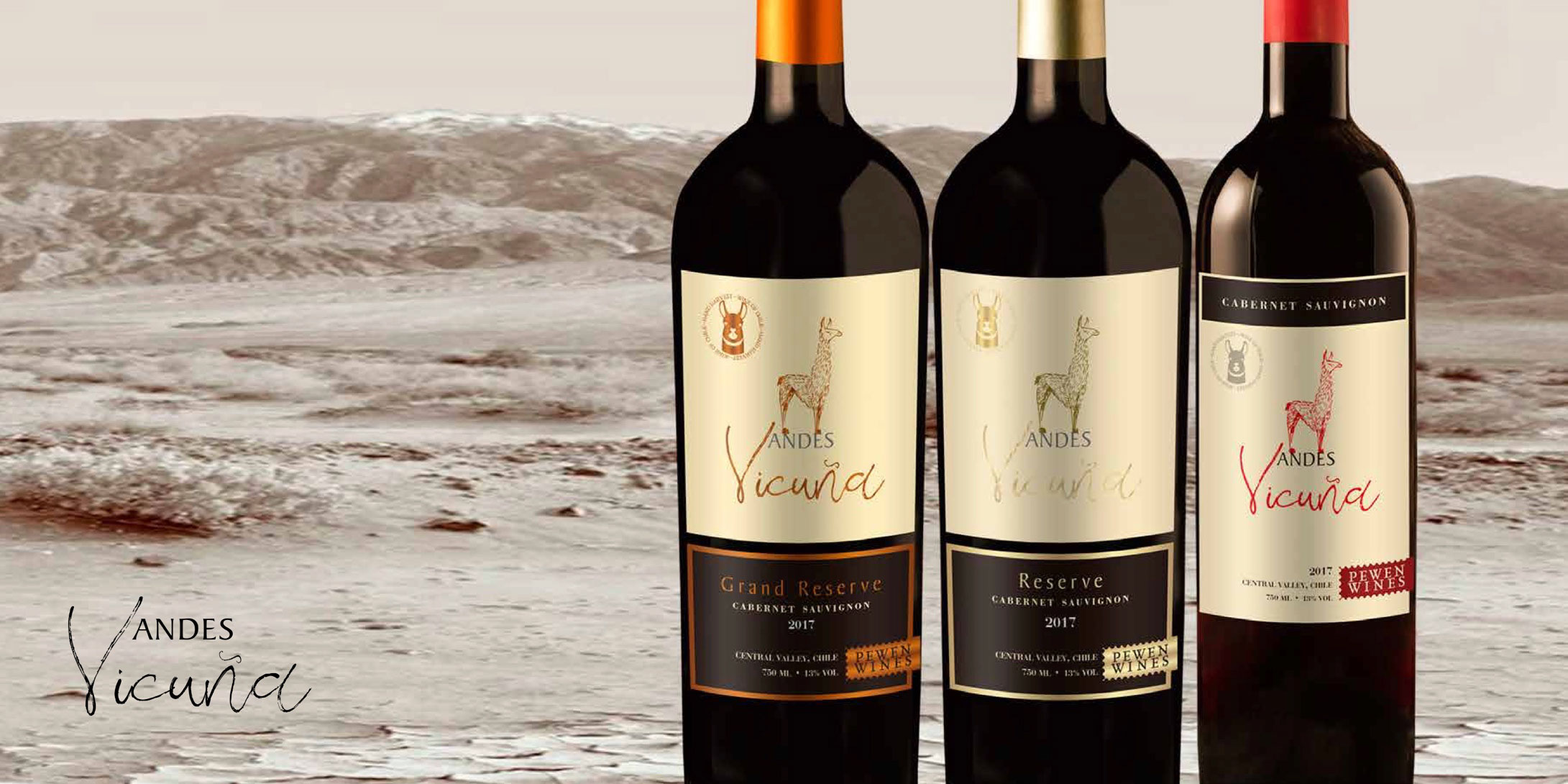 BROCHURE---Nelson-Ubilla---PEWEN-WINE-EXPORT-AGENT-2018-(1)-17