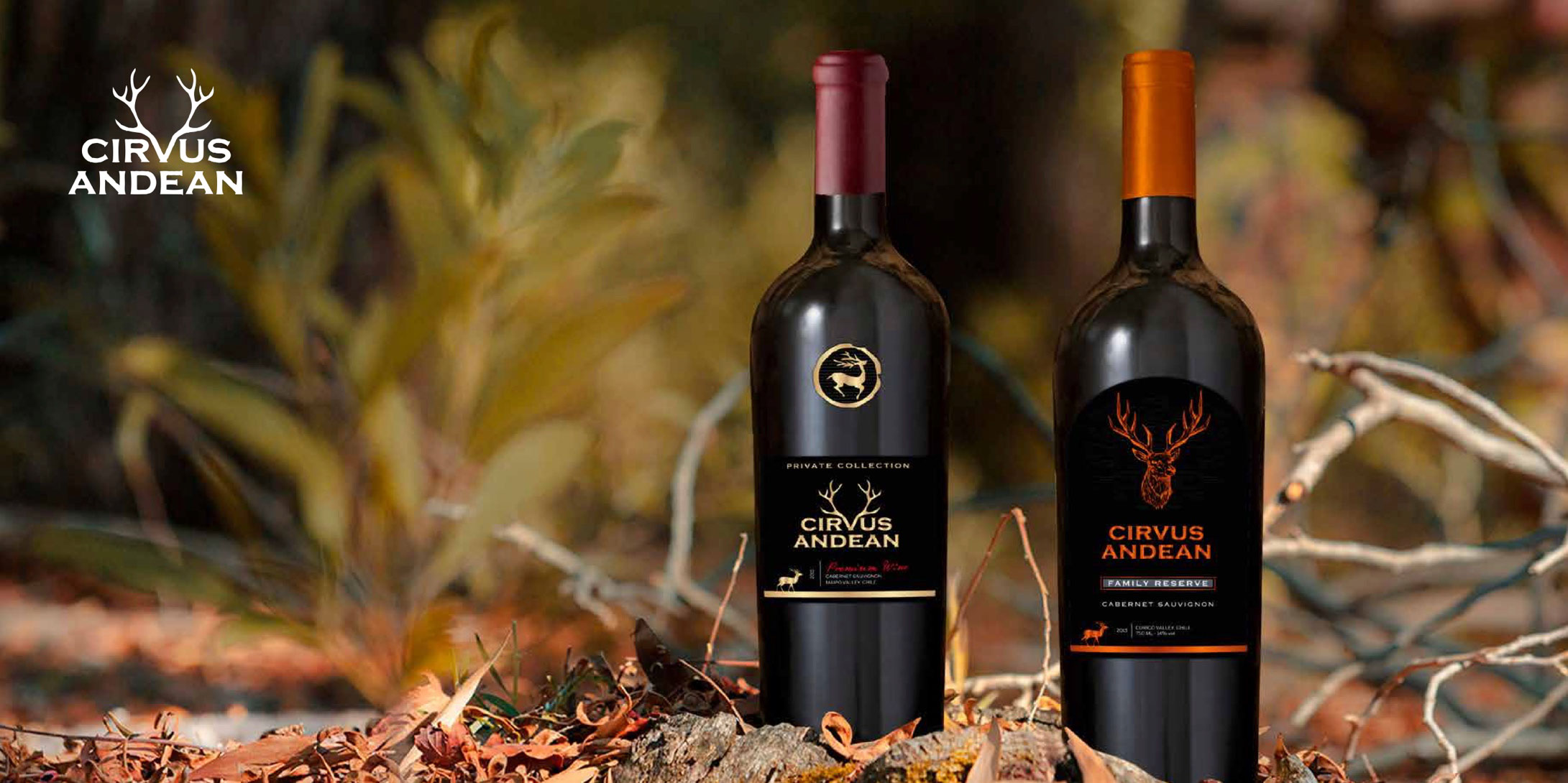 BROCHURE---Nelson-Ubilla---PEWEN-WINE-EXPORT-AGENT-2018-(1)-19
