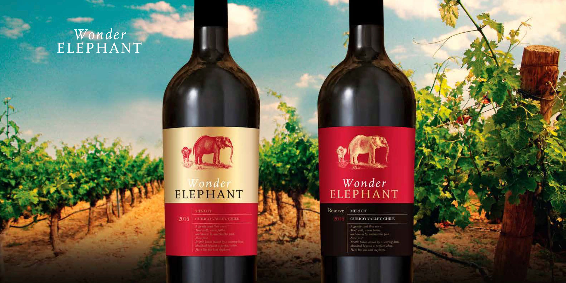 BROCHURE---Nelson-Ubilla---PEWEN-WINE-EXPORT-AGENT-2018-(1)-20
