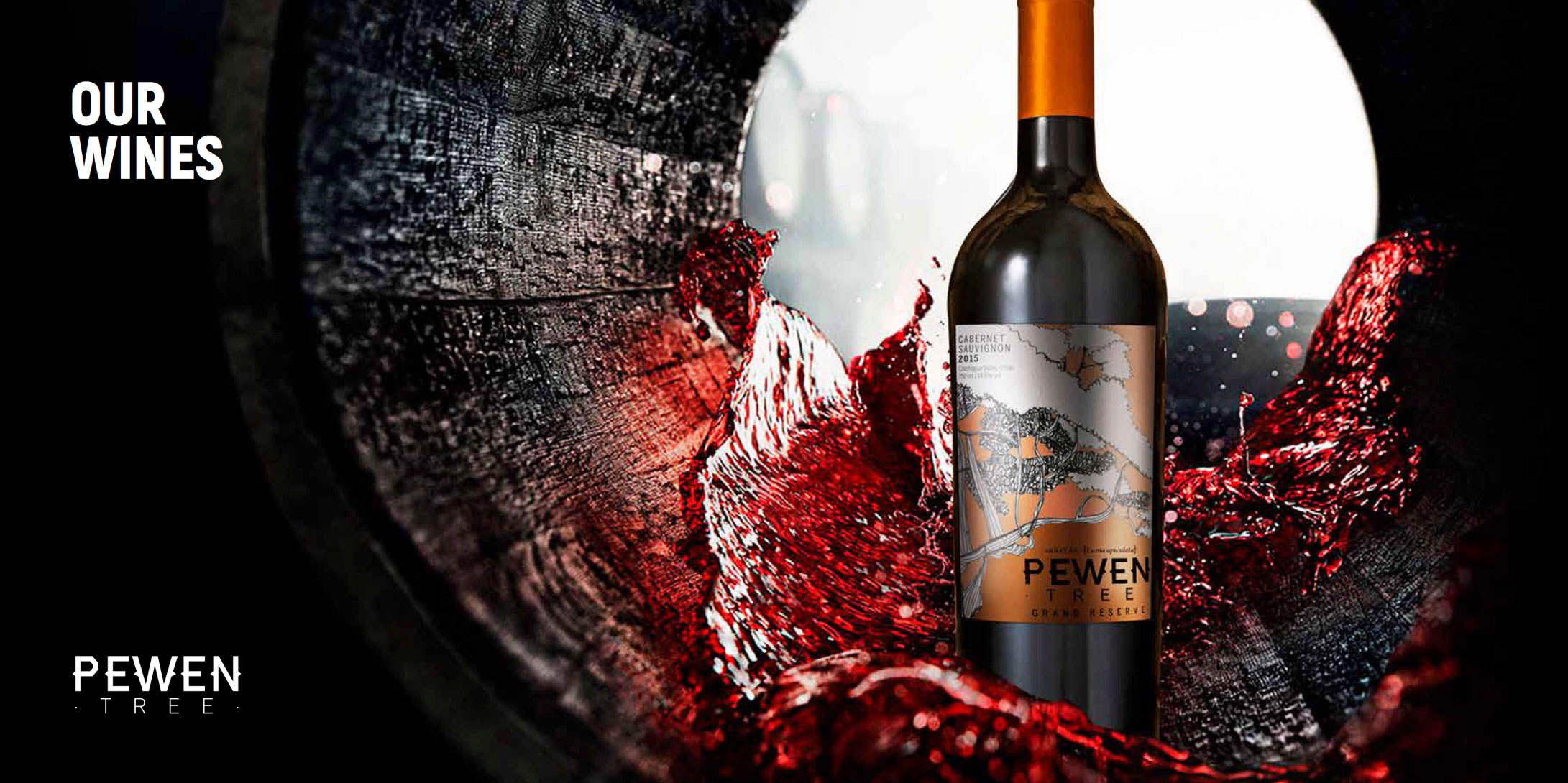 BROCHURE---Nelson-Ubilla---PEWEN-WINE-EXPORT-AGENT-2018-(1)-5